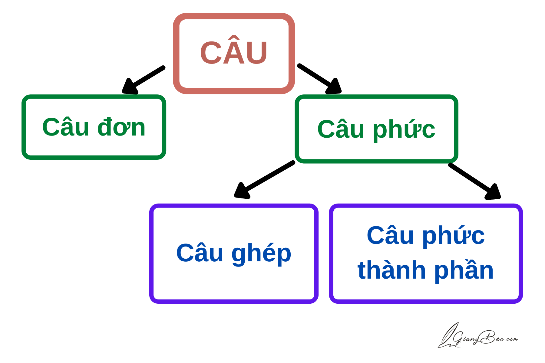 Câu đơn câu phức trong tiếng Việt